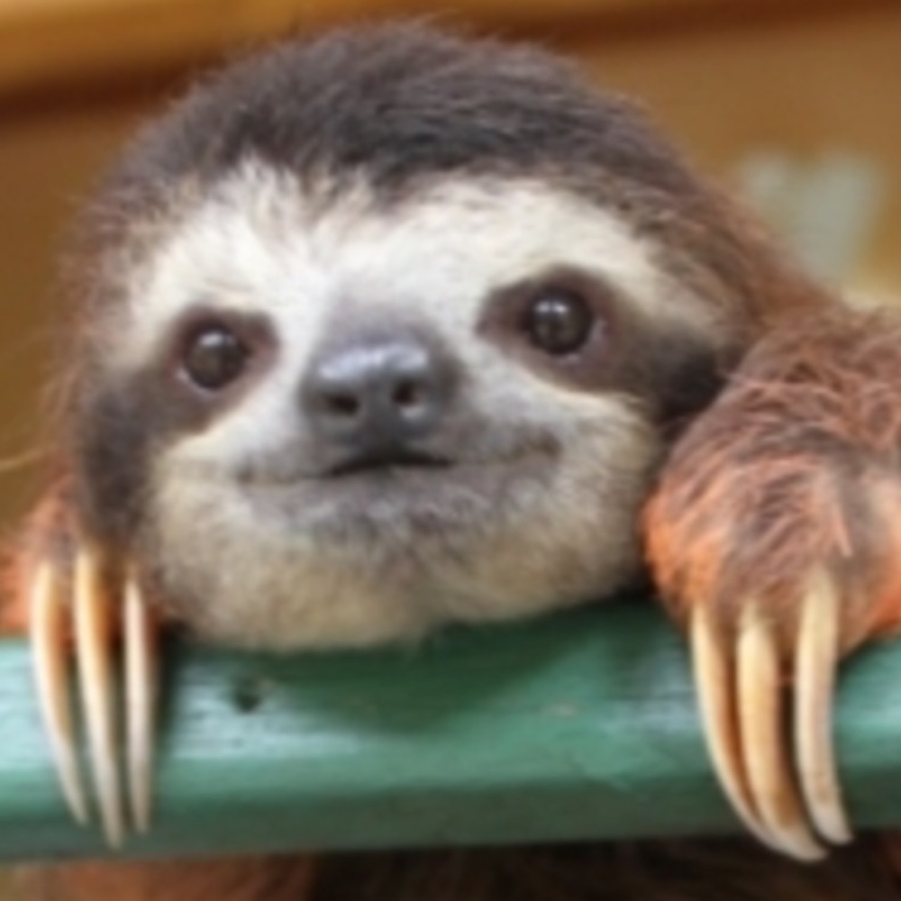 Meet your Posher, Madison